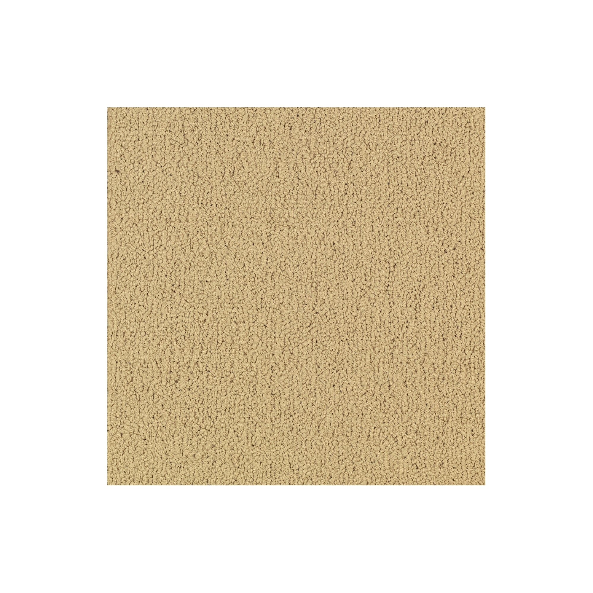 Shaw Philadelphia Commercial Color Accents TL 24" x 24" Glue Down