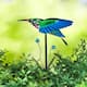 Option 36"H Hummingbird