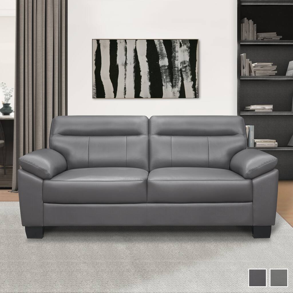 Brun Leather Transitional Tufted Sofa