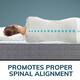SleepInc. 10 Inch Gel Memory Foam and Innerspring Hybrid Mattress