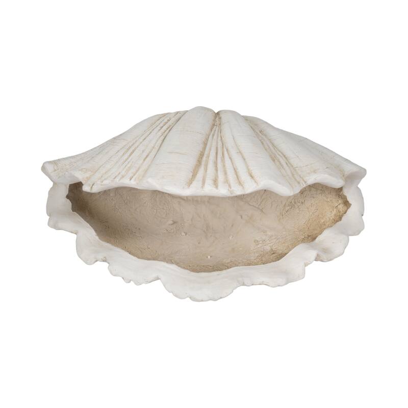 Decorative Scallop Shell Figurine - 22", White - 22.0"