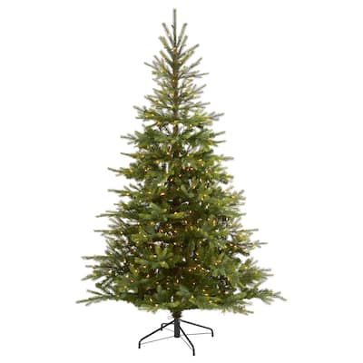 7' North Carolina Spruce Christmas Tree with 450 Lights - Green