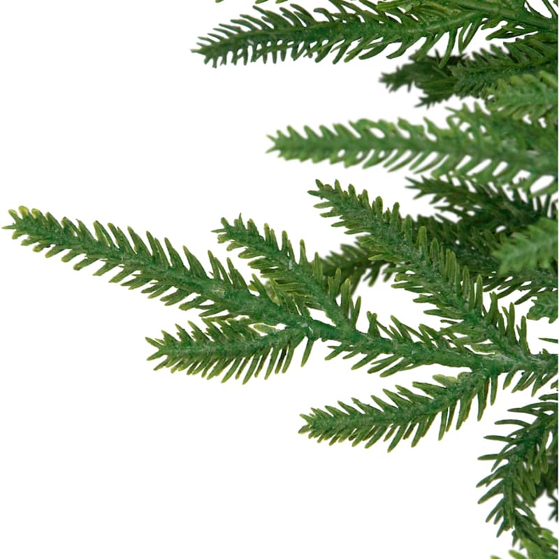 Norfolk Pine Artificial Christmas Wreath - 26" - Unlit
