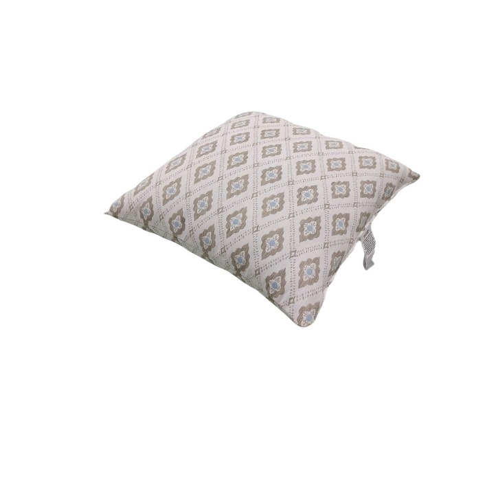 20" x 20" Indoor/Outdoor Throw Pillow, Set of 2
