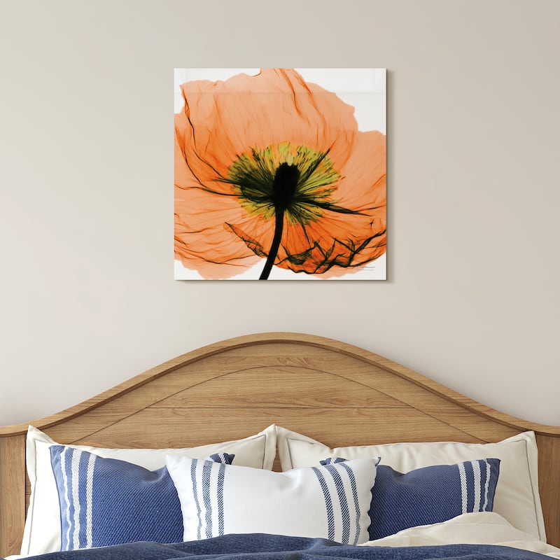 "Poppy Orange" Frameless Free Floating Tempered Glass Panel Graphic Wall Art