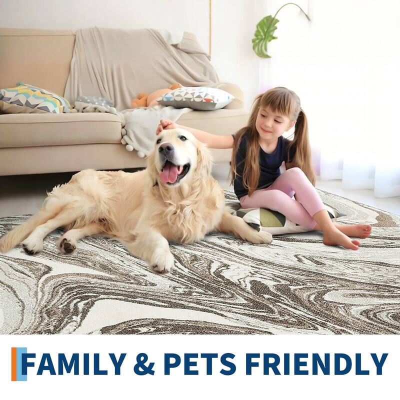 Washable Area Rugs for Living Room, Soft Modern Abstract Rug Non Slip Low Profile Carpets for Bedroom Dining Room