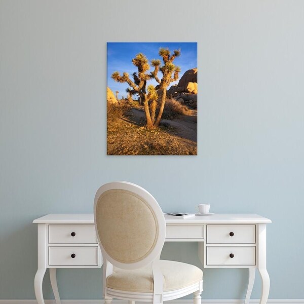Easy Art Prints Charles Gurche's 'Joshua Tree And Granite' Premium Canvas Art