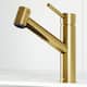 Option Matte Brushed Gold