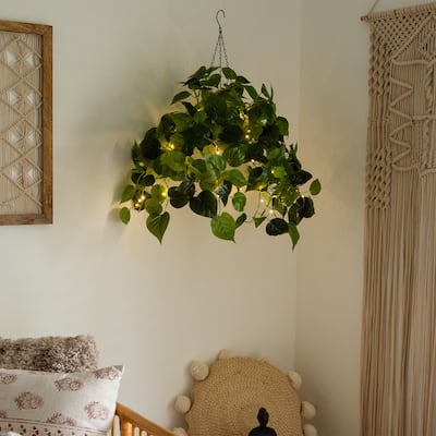Pre-Lit Philodendron Artificial Plant - 24" - Warm White LED Lights