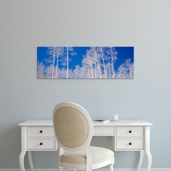 Easy Art Prints Panoramic Image 'View of American aspen trees in the forest, Utah (Populus tremuloides)' Canvas Art