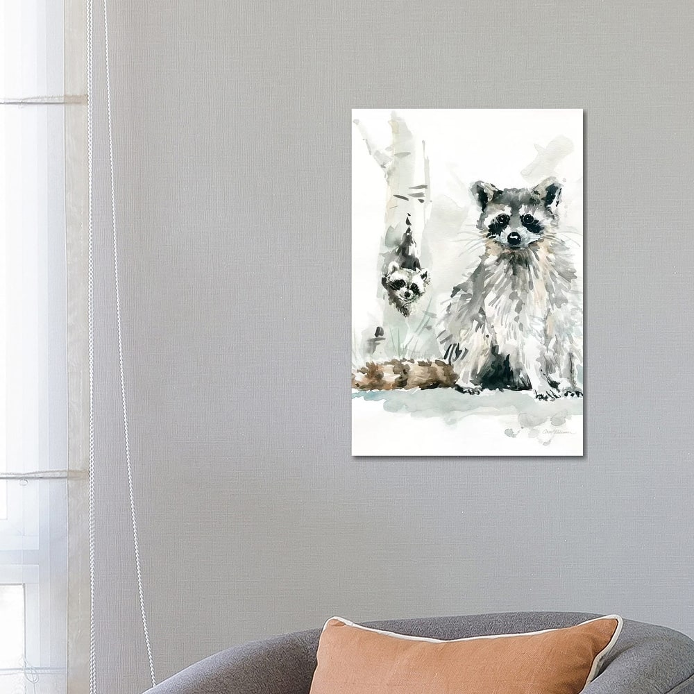 iCanvas "Raccoon and Baby" by Carol Robinson Canvas Print