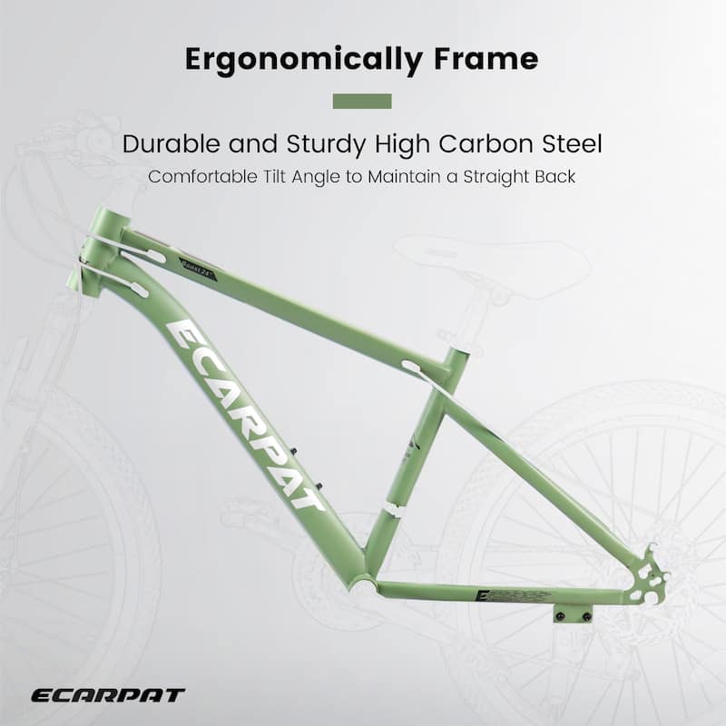 24 Inch Teen Mountain Bike with High Carbon Steel Frame, Disc Brakes and Brown Edge Tires, for School and Outdoor