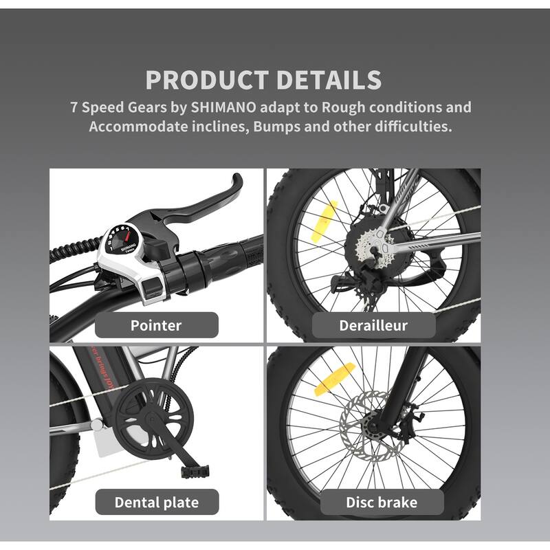 AOSTIRMOTOR Folding Electric Bike Ebike Bicycle 750W Motor 20" Fat Tire With 48V/12.5Ah Li-Battery Beach Snow Bicycle A30