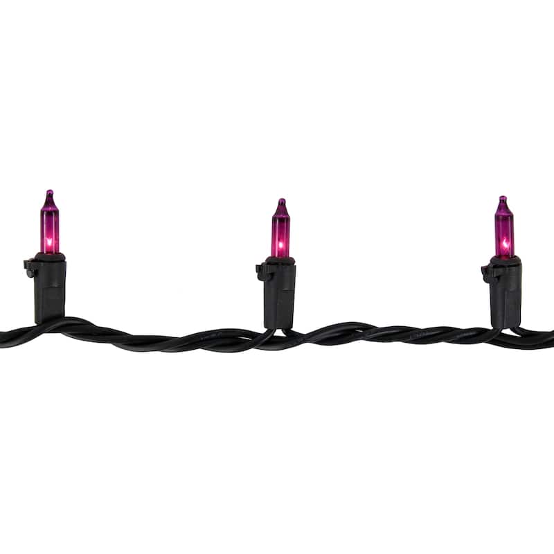 100 Purple Mini Incandescent Christmas Lights 2.5" Spacing Black Wire