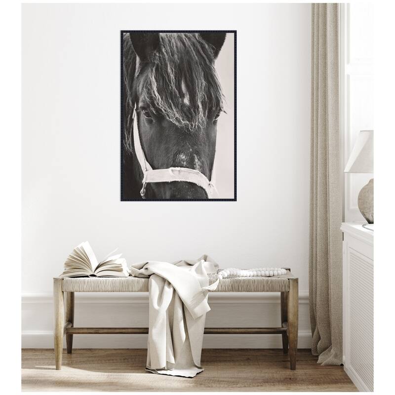 Kate and Laurel Black Horse by Emiko and Mark Franzen F2 Images Framed Canvas Wall Art Print