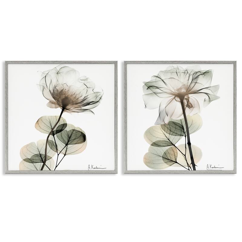 Stupell Cream Transparent Floral Framed Giclee Art Design By Albert Koetsier (Set of 2) - 17 x 17 - Grey