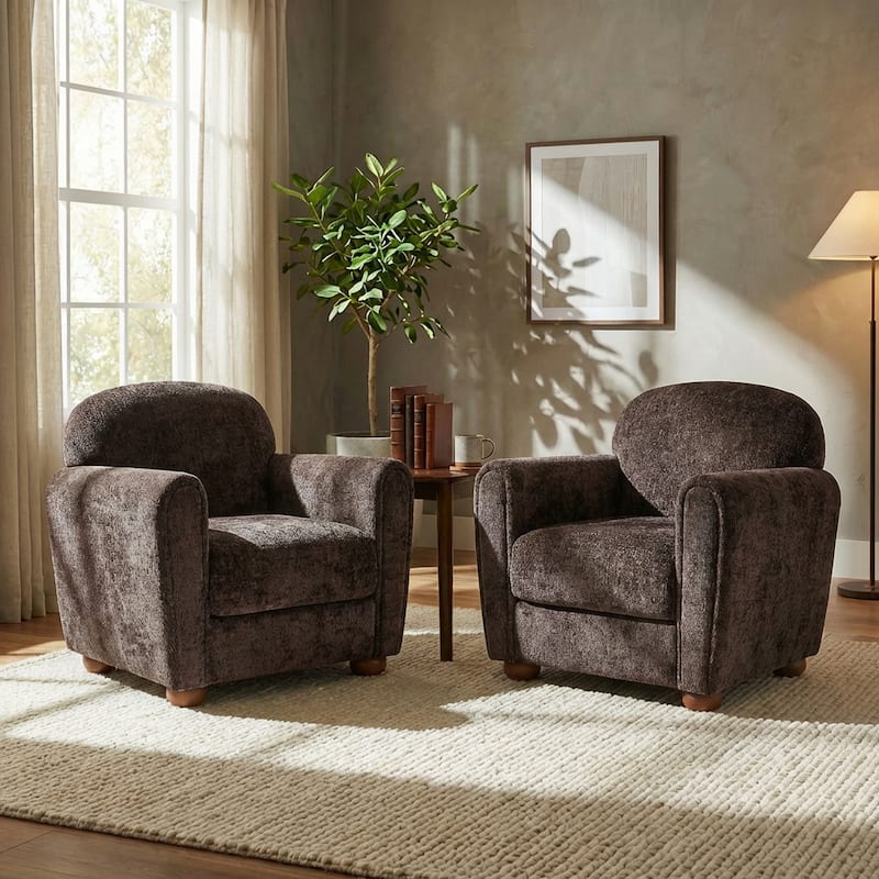 Christopher Knight Home - Rapallo Modern Upholstered Accent Chair with Plush Fabric Seat - Set of 2 - Dark Brown + Chenille