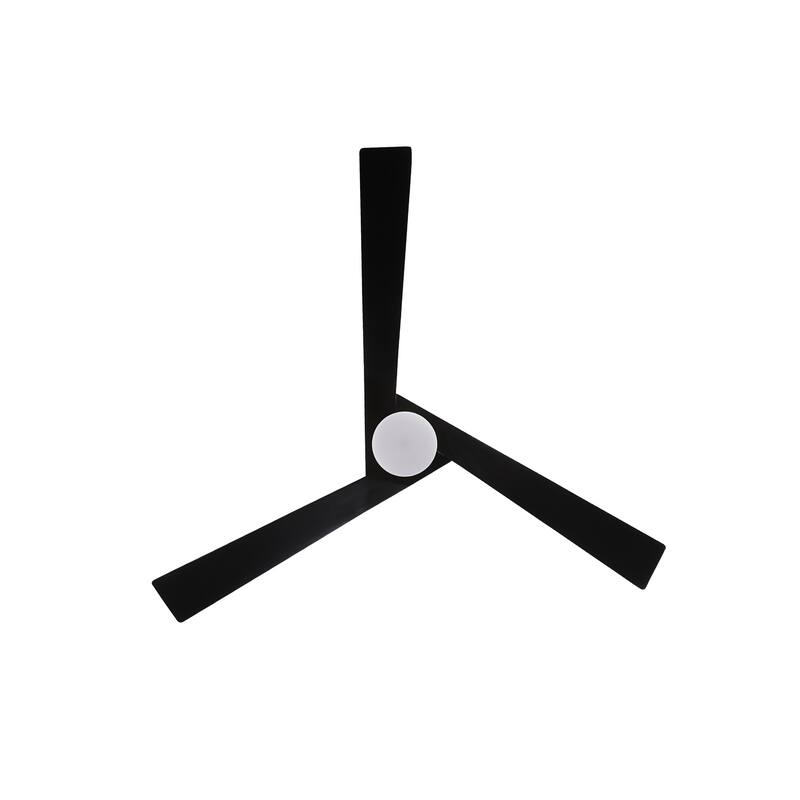 WINGBO 64" DC Motor Indoor Ceiling Fan with LED Light & Remote