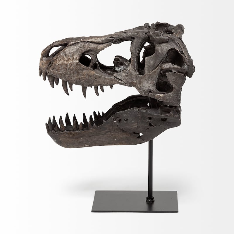 Jurassic Brown Resin Tyrannosaurus Skull Replica - 10"W x 6"L x 12"H
