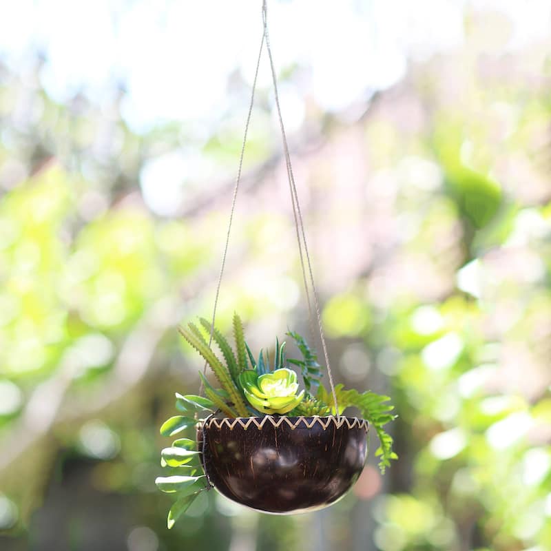 NOVICA Clean Environment, Coconut shell hanging planter
