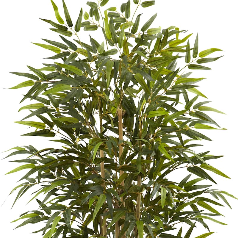 Bamboo Tree 6ft Indoor Accent Plant with Planter - Home Office Decor - 6ft.