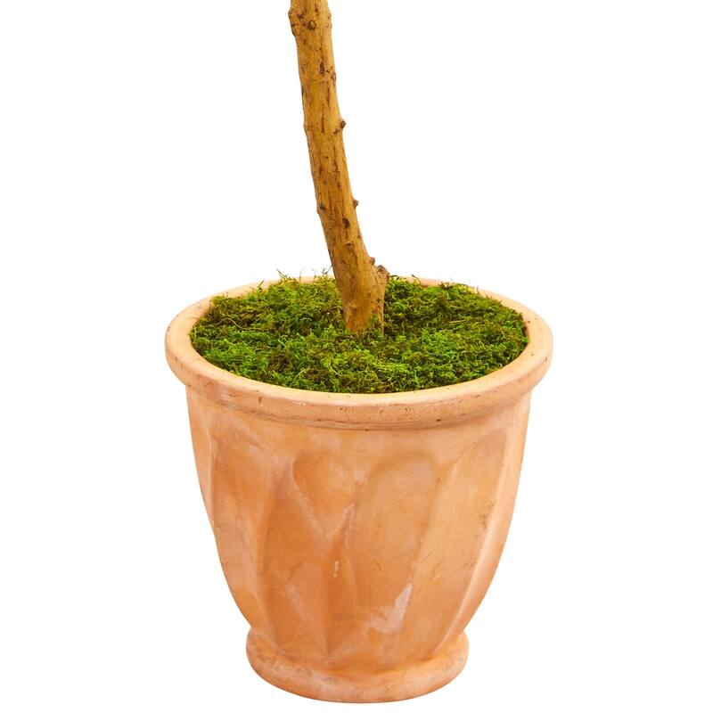 Artificial Olive Tree 63In Topiary Indoor Outdoor Plant in Terra Cotta Pot - Green - 61 Inches and Over