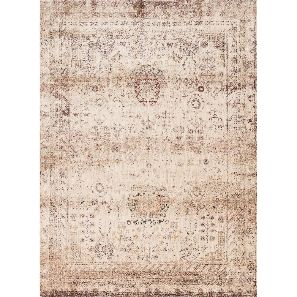 Alexander Home Contessa Botanical Distressed Area Rug