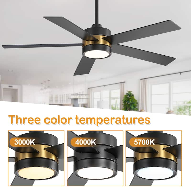 52-IN LED Ceiling Fan with Light Kit and Remote- 5 Blades