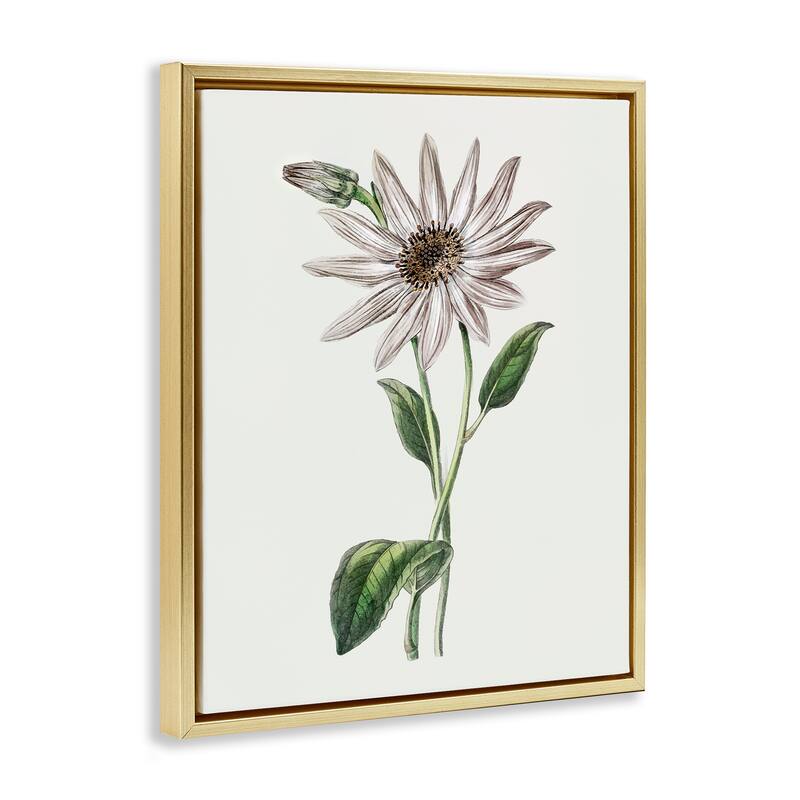 Stupell Vintage Mum Sprig Framed Floater Canvas Wall Art Design By CAD Designs