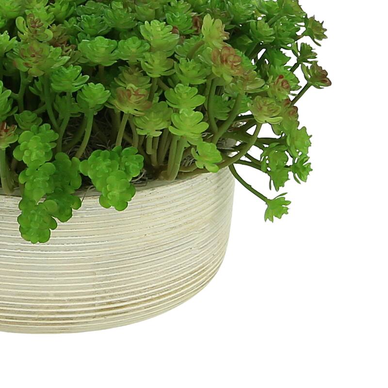 Cactus in Round Wood Bowl - Green