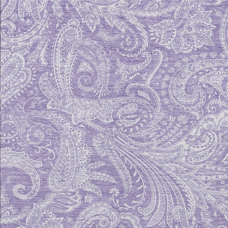 HomeRoots Paisley Transitional Rectangle Outdoor Rug