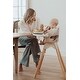 preview thumbnail 2 of 10, Terra 2-in-1 High Chair & Booster