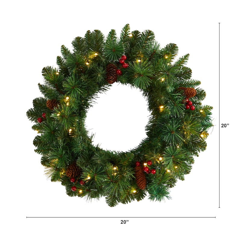20" Frosted Pine Artificial Christmas Wreath - Green - 20