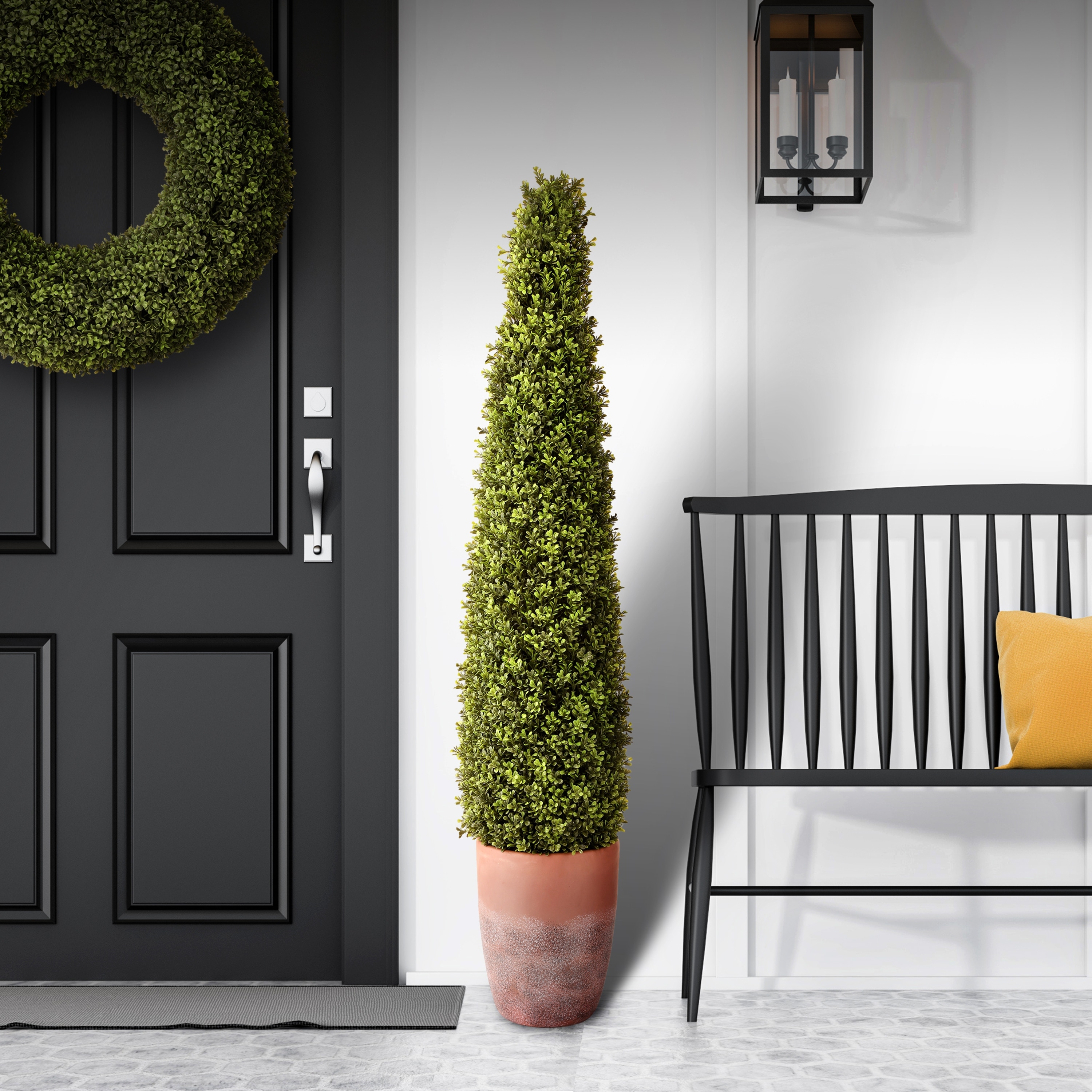 Spring Boxwood In Pot 60"