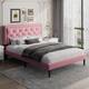 Option Pink