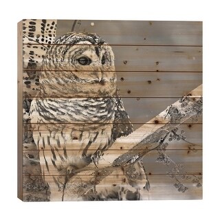 White Owl Print On Wood by PhotoINC Studio - Multi-Color