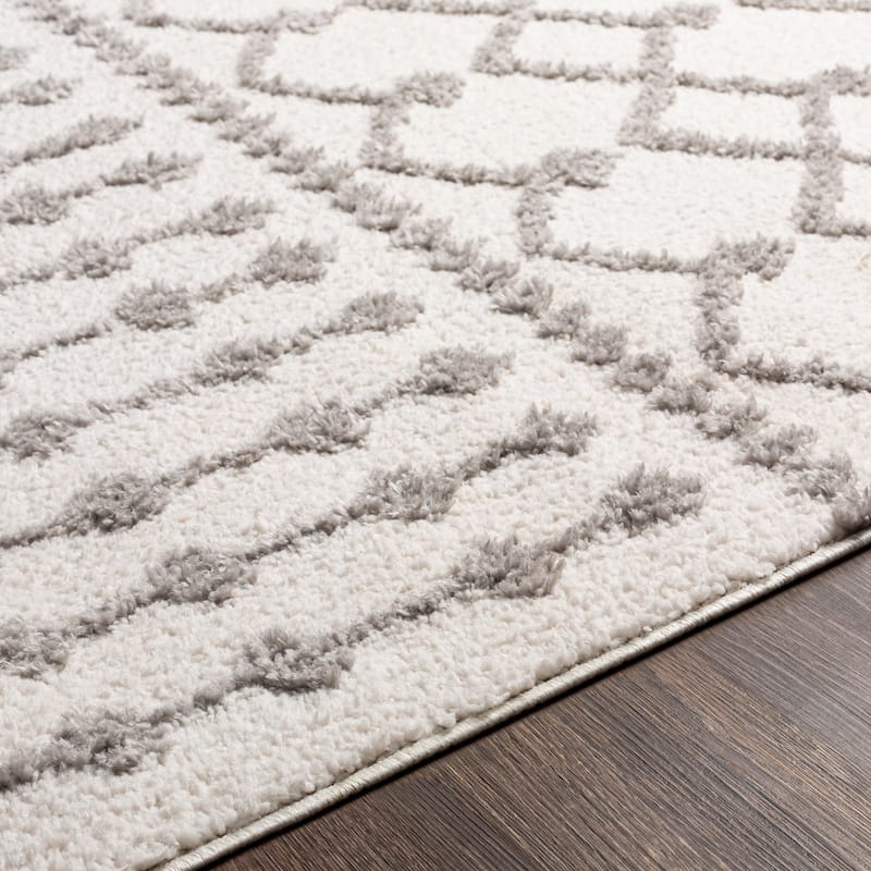 Artistic Weavers Havva Geometric Bohemian Area Rug