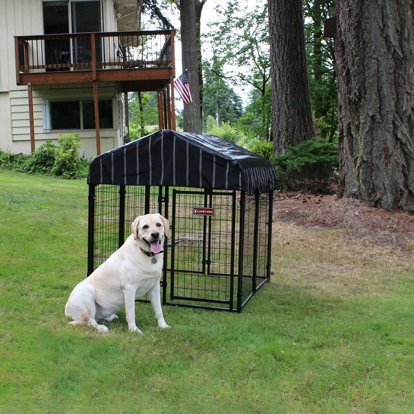 lucky dog pet resort kennel