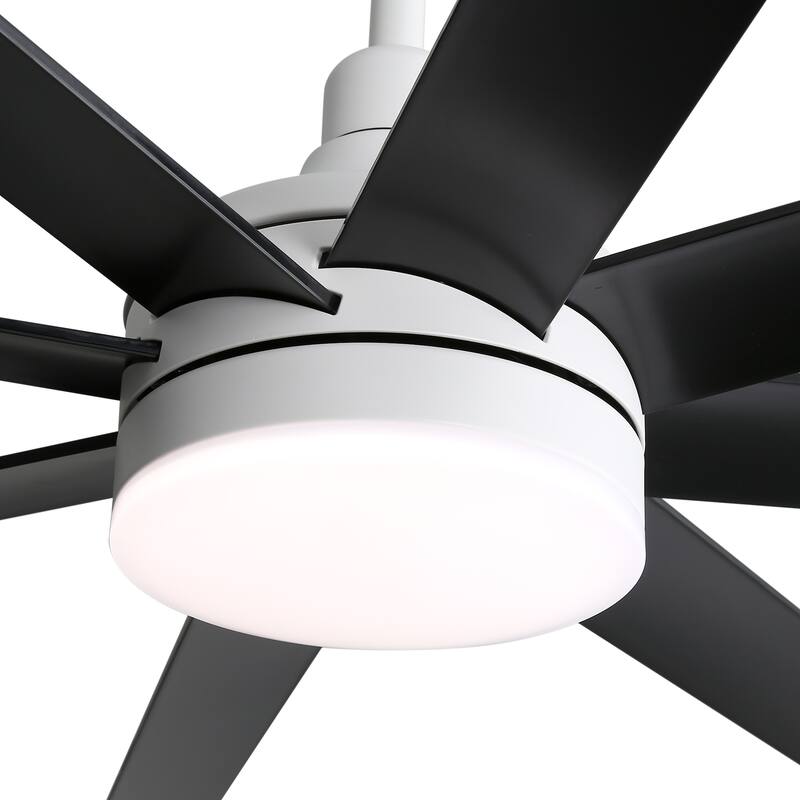 65 Inch LED Black and White Ceiling Fan with Light Remote- 8 Blade