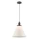 Option Oil Rubbed Bronze / Matte White Cased