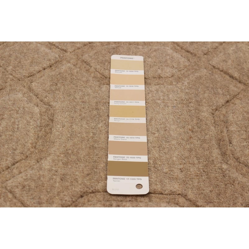 Kashkuli Gabbeh Tan Rug 8'0" x 11'2" - 8'0 x 11'2
