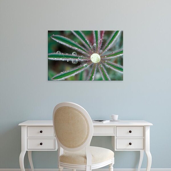 Easy Art Prints Adam Jones's 'Sierra Foothills Dew Drops' Premium Canvas Art