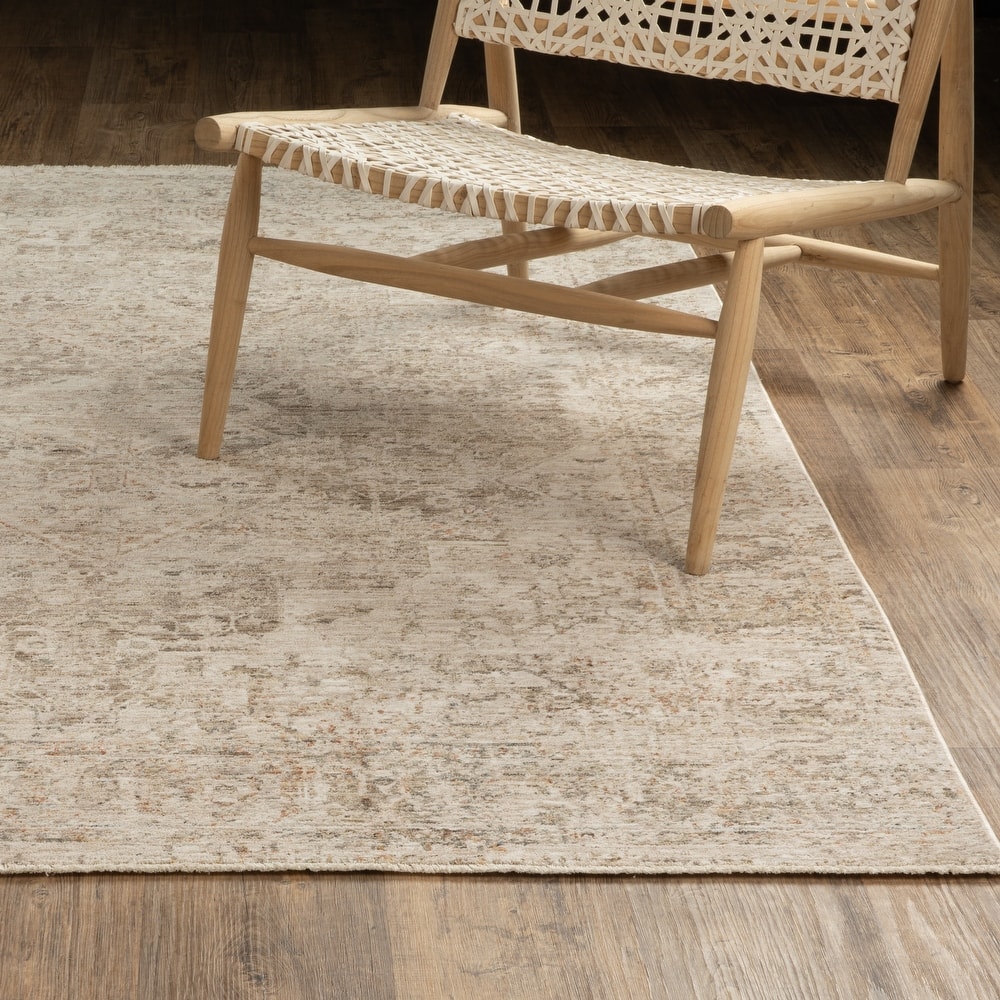 Amira Distressed Traditional Beige/ Grey Area Rug