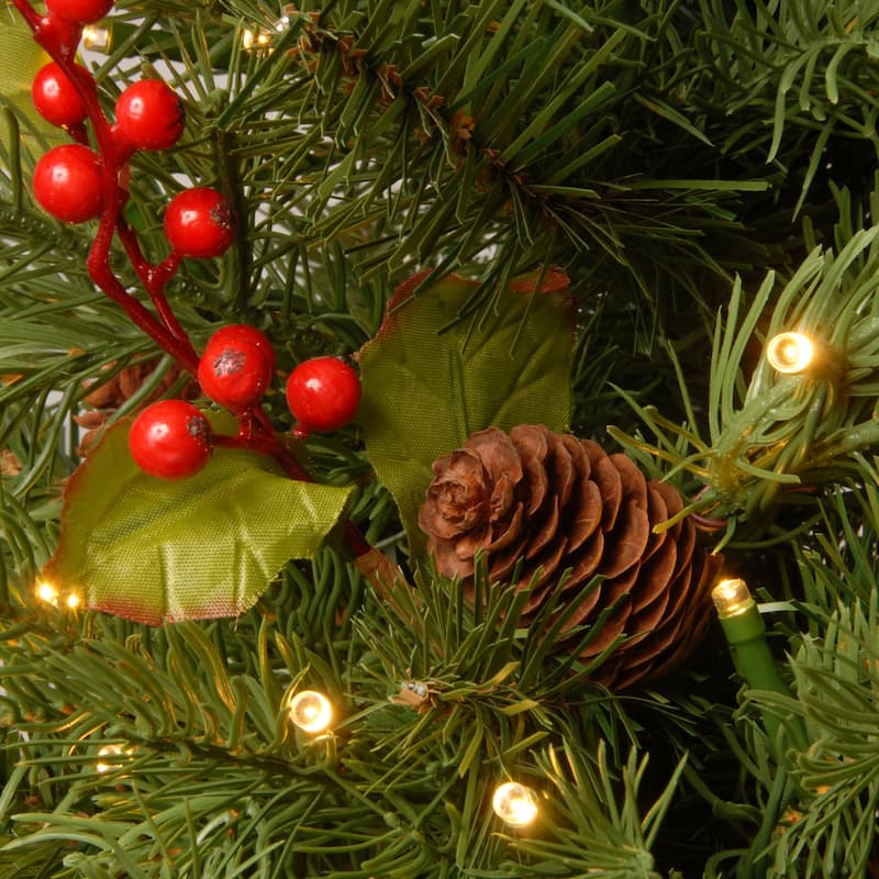 National Tree Company 2 ft. Nordic Spruce Tree with Battery Operated Warm White LED Lights - 2 Foot