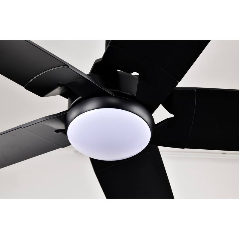 Angus 5-Blade Lighted Ceiling Fan with LED Lamp with Remote