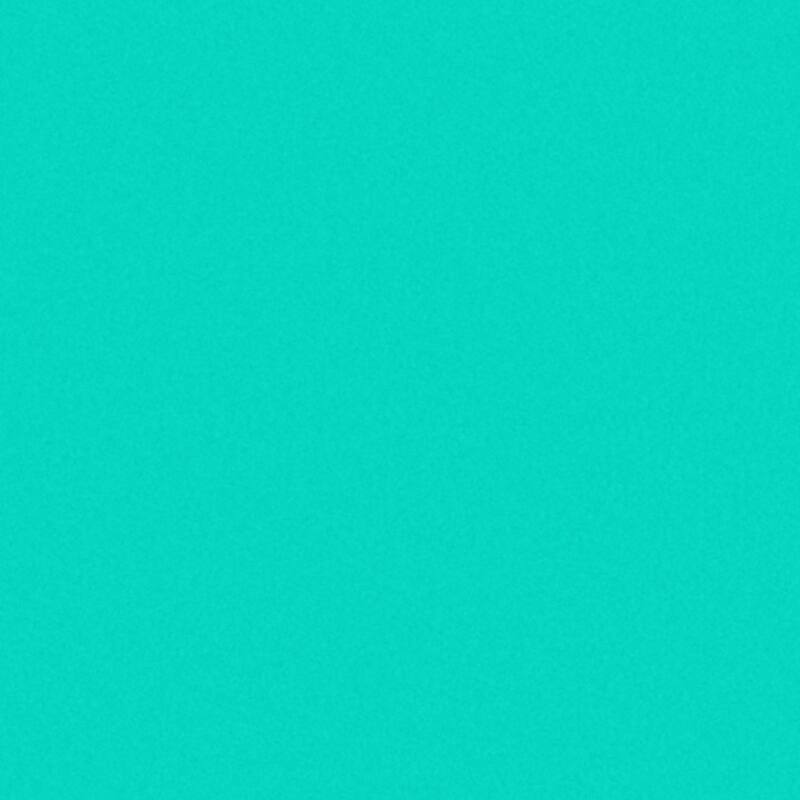 VECELO 20-Pack Pant Hangers (Black/Grey/Pink/Beige/Green) Clothes Hangers Non-slip Space-saving Clothes Hangers