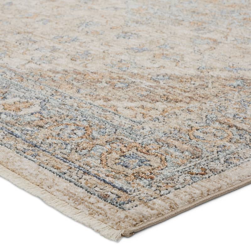 Mehdi Medallion Beige/ Blue Area Rug