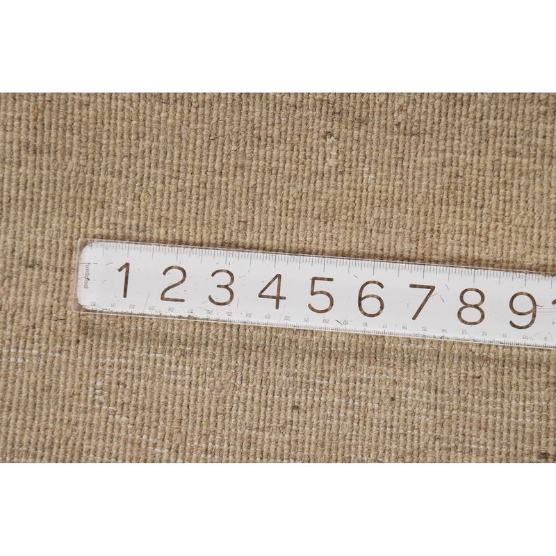 Contemporary Beige Gabbeh Oriental Rug Hand-Knotted Beige Wool Carpet - 2'8"x 4'0"