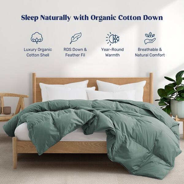All Season 100% Organic Cotton Down Duvet Insert Medium Warmth Comforter - King - Laurel Green