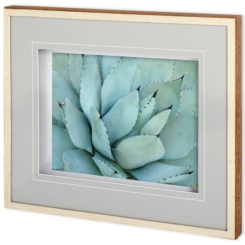 Agave Detail IV Framed Art Print